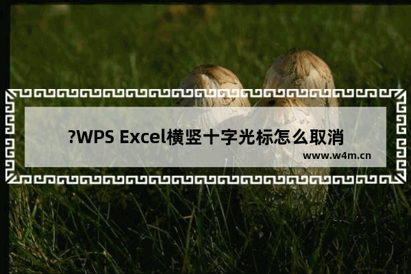 ?WPS Excel横竖十字光标怎么取消-WPS表格中关闭颜色十字光标的方法教程