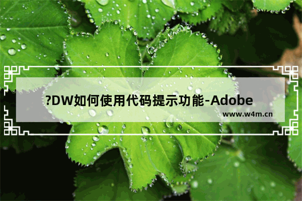 ?DW如何使用代码提示功能-Adobe Dreamweaver中启用代码提示的方法教程