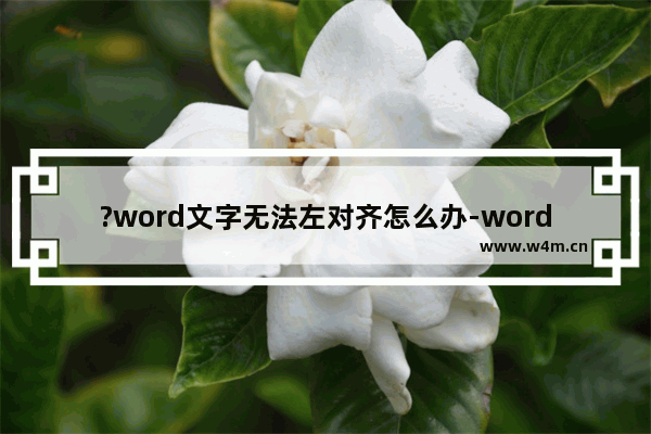 ?word文字无法左对齐怎么办-word设置文字靠左对齐的方法