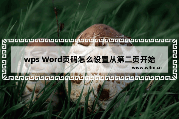 wps Word页码怎么设置从第二页开始-WPS Word设置页码从第2页开始排序的方法