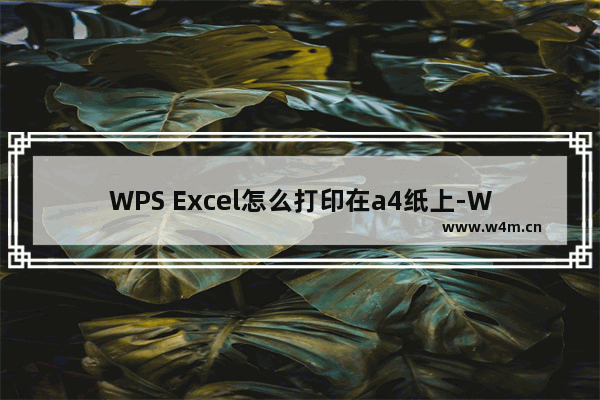 WPS Excel怎么打印在a4纸上-WPS Excel设置a4纸打印的方法