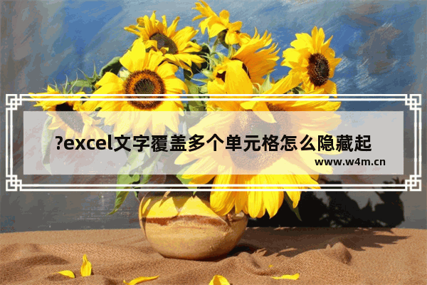 ?excel文字覆盖多个单元格怎么隐藏起来-excel超出单元格的文字自动隐藏的方法