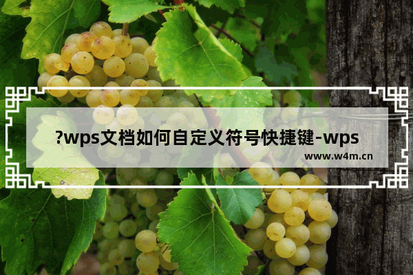 ?wps文档如何自定义符号快捷键-wps自定义符号快捷键的方法