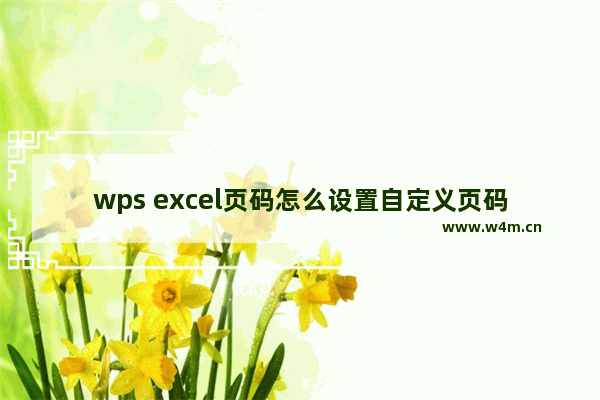 wps excel页码怎么设置自定义页码-WPS Excel自定义设置页码的方法