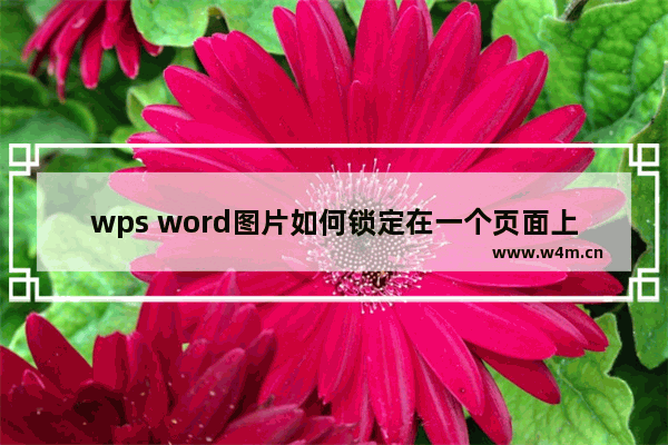 wps word图片如何锁定在一个页面上-WPS Word中让图片只在一个页面上移动的方法