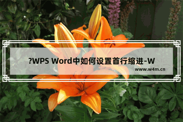 ?WPS Word中如何设置首行缩进-WPS文档中进行首行缩进的方法教程