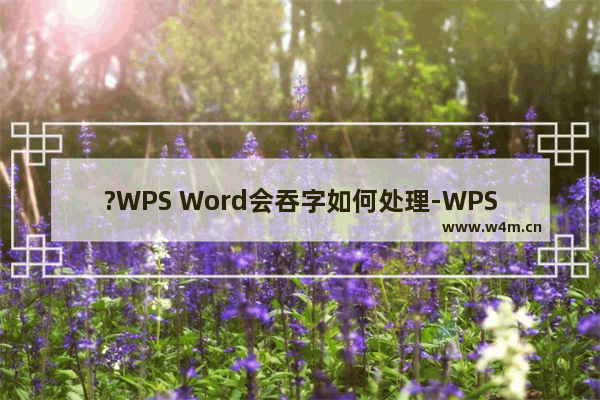 ?WPS Word会吞字如何处理-WPS文档中解决输入新内容会吞掉原文字的方法教程