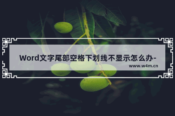 Word文字尾部空格下划线不显示怎么办-Word文字尾部空格下划线不显示的解决方法