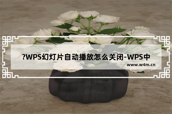 ?WPS幻灯片自动播放怎么关闭-WPS中取消PPT自动播放的方法教程