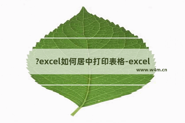 ?excel如何居中打印表格-excel居中打印表格的方法