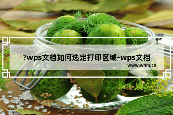 ?wps文档如何选定打印区域-wps文档设置打印范围的方法