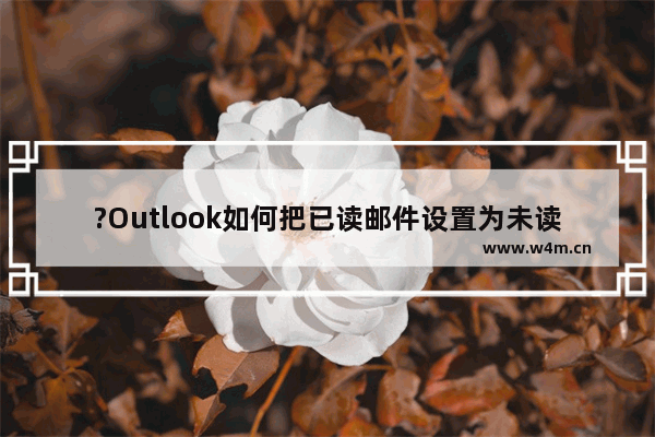 ?Outlook如何把已读邮件设置为未读-Microsoft Outlook邮箱将邮件标记为未读的方法教程