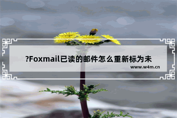 ?Foxmail已读的邮件怎么重新标为未读-Foxmail邮箱中将已读邮件标记为未读状态的方法教程