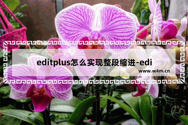 editplus怎么实现整段缩进-editplus设置整段缩进的方法