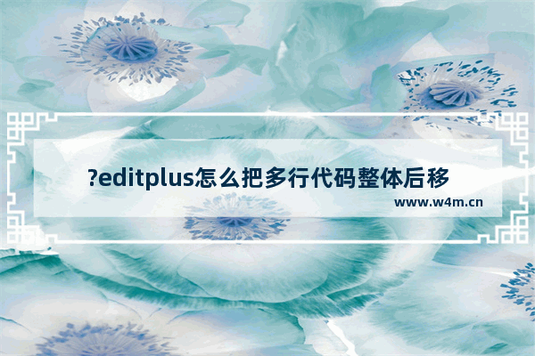 ?editplus怎么把多行代码整体后移-?editplus把多行代码整体移动整个空格的方法