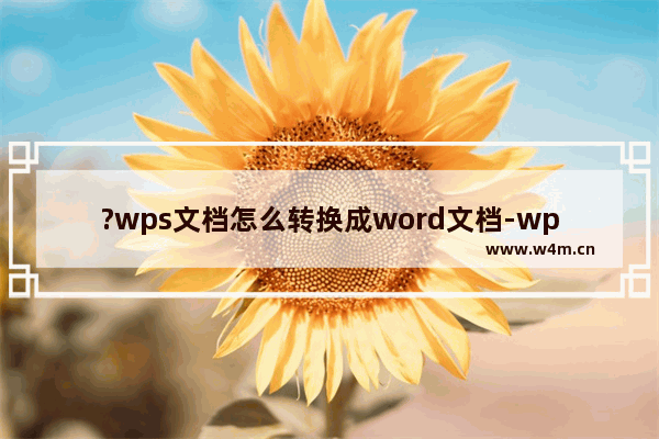 ?wps文档怎么转换成word文档-wps文档转换成word格式的方法