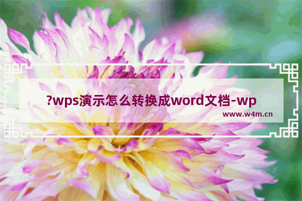 ?wps演示怎么转换成word文档-wps演示转换成文档格式的方法