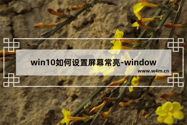 win10如何设置屏幕常亮-windows10设置屏幕常亮的方法