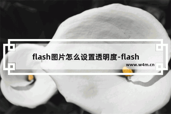 flash图片怎么设置透明度-flash professional设置图片透明度的方法