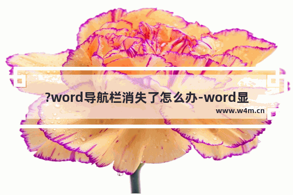 ?word导航栏消失了怎么办-word显示导航栏的方法