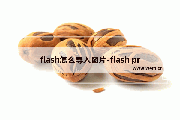 flash怎么导入图片-flash professional导入图片的方法