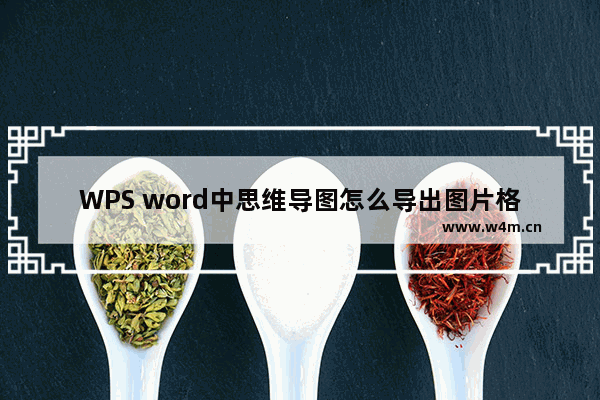 WPS word中思维导图怎么导出图片格式-WPS word思维导图导出图片格式的方法