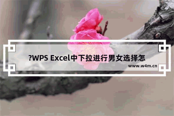 ?WPS Excel中下拉进行男女选择怎么设置-WPS表格中设置下拉菜单选择男女的方法教程