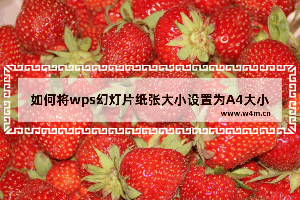 如何将wps幻灯片纸张大小设置为A4大小-WPS PPT设置幻灯片大小为a4的方法