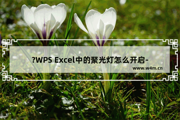 ?WPS Excel中的聚光灯怎么开启-WPS表格中制作聚光灯效果的方法教程