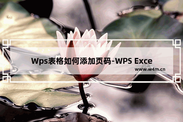 Wps表格如何添加页码-WPS Excel中添加页码的方法