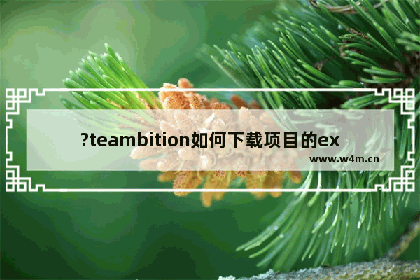 ?teambition如何下载项目的excel模板-?teambition下载项目excel模板的方法