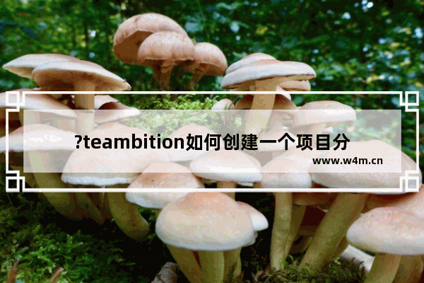 ?teambition如何创建一个项目分组-?teambition创建一个项目分组的方法