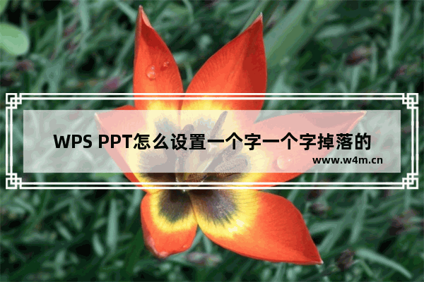 WPS PPT怎么设置一个字一个字掉落的动画效果-WPS PPT中设置一个字一个字掉落退出的动画效果的方法