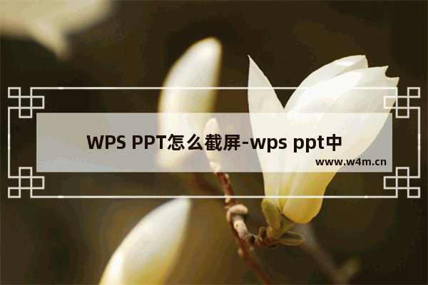 WPS PPT怎么截屏-wps ppt中区域截图的方法