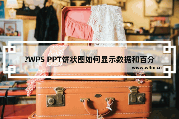 ?WPS PPT饼状图如何显示数据和百分比-WPS演示文稿中让饼状图显示数据占比的方法教程