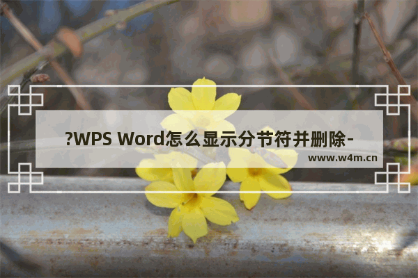 ?WPS Word怎么显示分节符并删除-WPS文档调出分节符并删除的方法教程