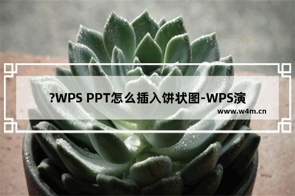 ?WPS PPT怎么插入饼状图-WPS演示文稿中插入饼形图的方法教程