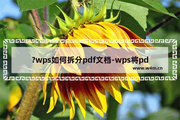 ?wps如何拆分pdf文档-wps将pdf文档拆分为几个的方法