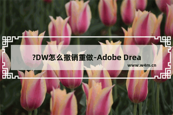 ?DW怎么撤销重做-Adobe Dreamweaver中返回上一步的方法教程