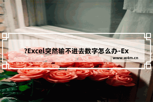 ?Excel突然输不进去数字怎么办-Excel表格解决输入不了数字还跳格的方法教程