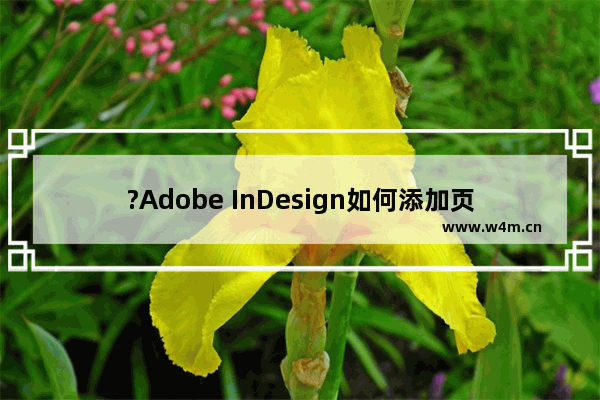 ?Adobe InDesign如何添加页码-?InDesign添加页码的方法