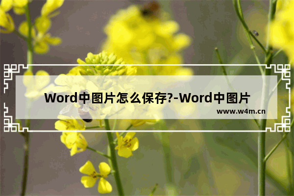 Word中图片怎么保存?-Word中图片保存的方法