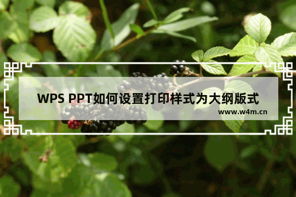 WPS PPT如何设置打印样式为大纲版式-WPS PPT中设置打印样式为大纲版式的方法