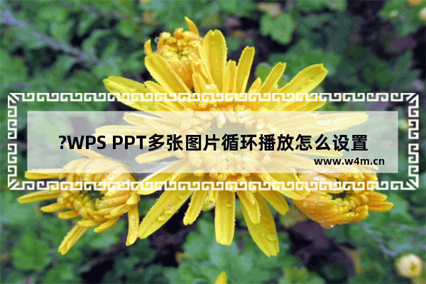 ?WPS PPT多张图片循环播放怎么设置-WPS演示文稿中的图片设置循环滚动播放的方法教程