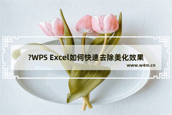 ?WPS Excel如何快速去除美化效果-WPS表格中清除表格美化样式的方法教程