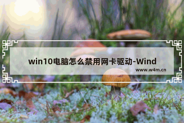 win10电脑怎么禁用网卡驱动-Windows10禁用网卡驱动程序的方法