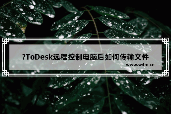 ?ToDesk远程控制电脑后如何传输文件-ToDesk远程控制后传输文件的方法教程