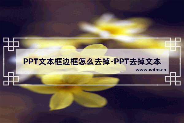 PPT文本框边框怎么去掉-PPT去掉文本框边框的方法