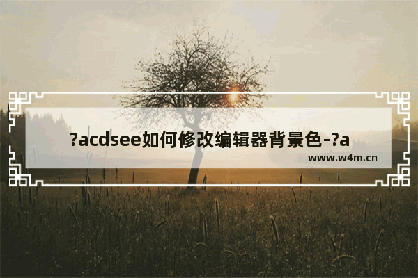 ?acdsee如何修改编辑器背景色-?acdsee修改编辑器背景色的方法