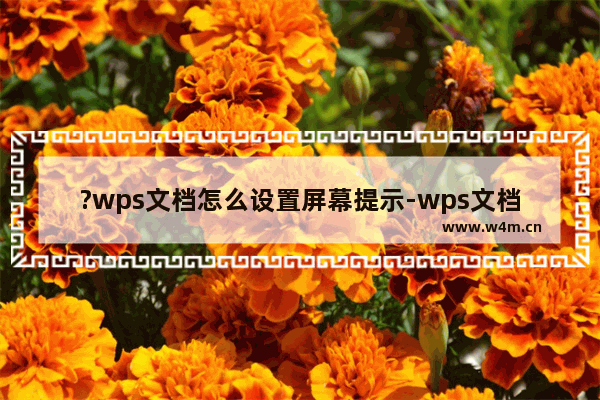 ?wps文档怎么设置屏幕提示-wps文档开启屏幕提示的方法